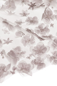 Valerie Veil