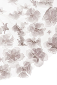 Valerie Veil