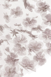 Valerie Veil
